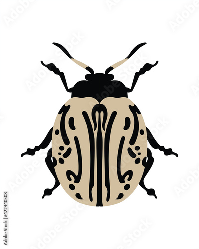 calligrapha multipunctata. flat vector illustration of bugs. insects and garden concept animated in colorful theme. cartoon illustration of nature isolated on white background. photo