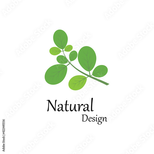 Leaf icon Vector Illustration design Logo template