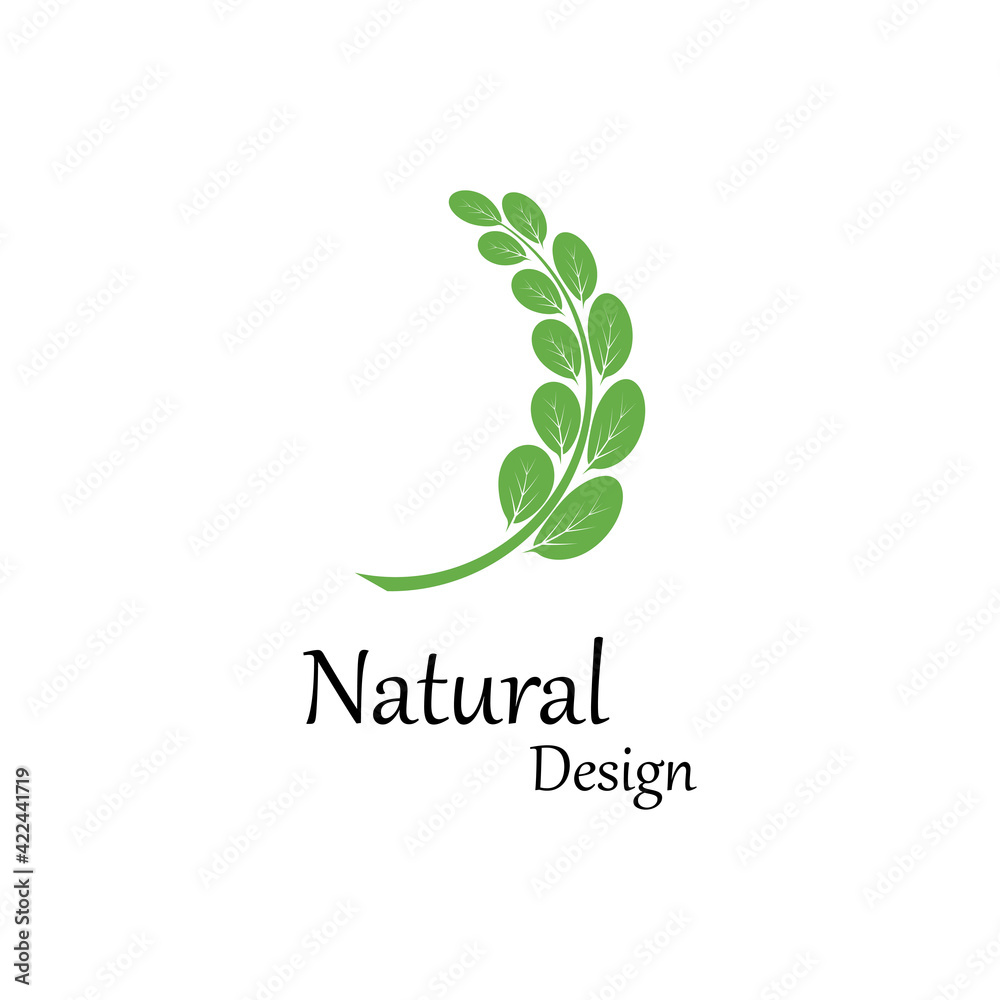 Leaf icon Vector Illustration design Logo template Leaf icon Vector Illustration design Logo template