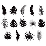 Tropical leaves, set of black silhouettes, vector illustration.