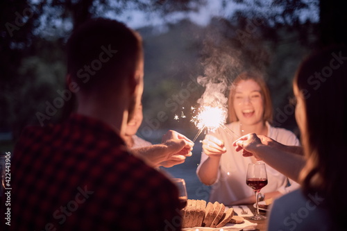 french dinner party on summer