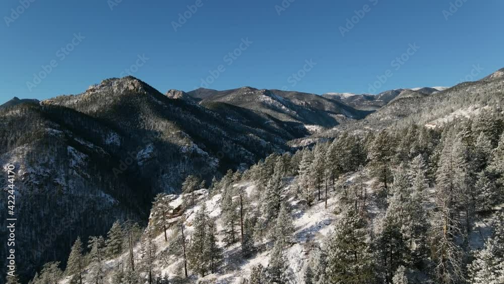 Aerial view Moving forward shot, through the snow covered pine trees above the mountain on Gold Camp Road in Colorado Springs, Bright Blue Sky in the background. Aerial view Moving forward shot, through the snow covered pine trees above the mountain on Gold Camp Road in Colorado Springs, Bright Blue Sky in the background.