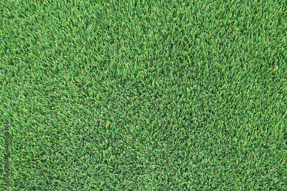 Fototapeta premium Artificial green grass texture as background. Top view