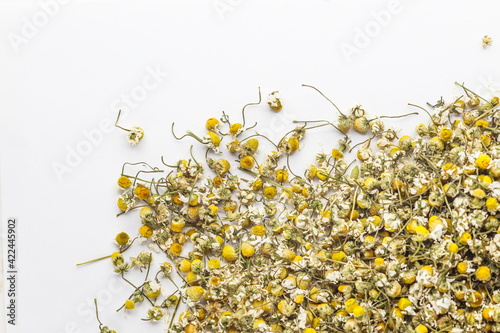 Closeup camomile flowers used to make tea have a sleep-inducing effect.