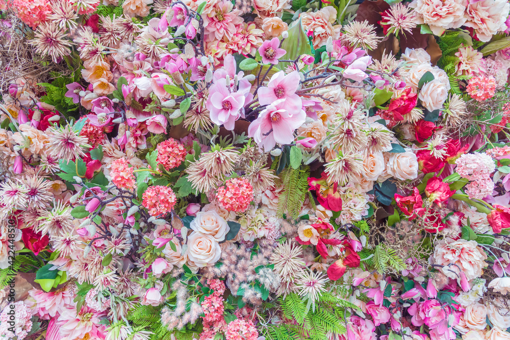 Fototapeta premium Abstract background of colorful flower