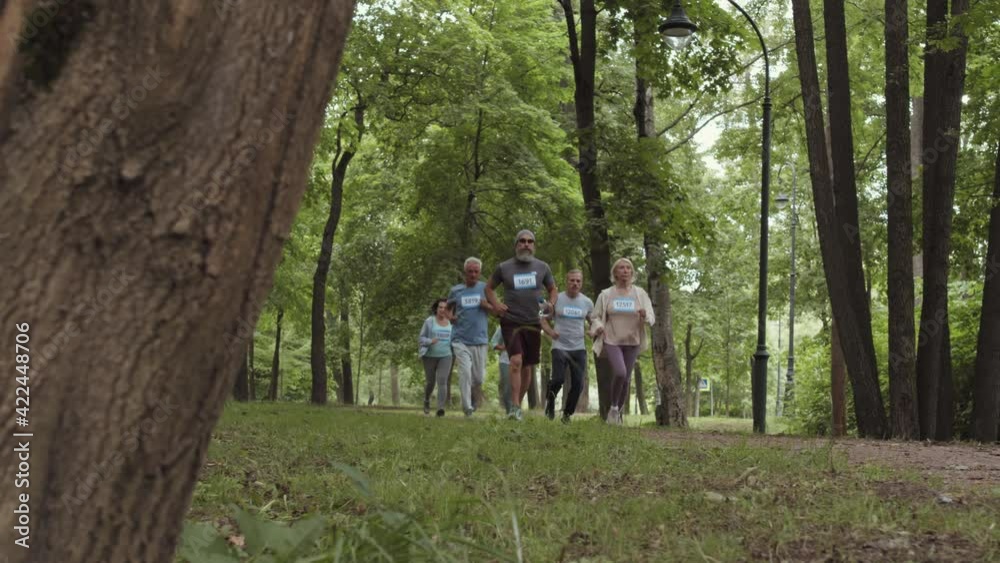 Wide shot of several aged Caucasian sporty men and women wearing sportswear jogging together in park Wide shot of several aged Caucasian sporty men and women wearing sportswear jogging together in park