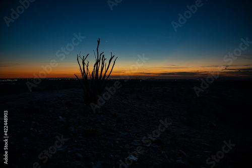 Day to Night in the Desert Southwest