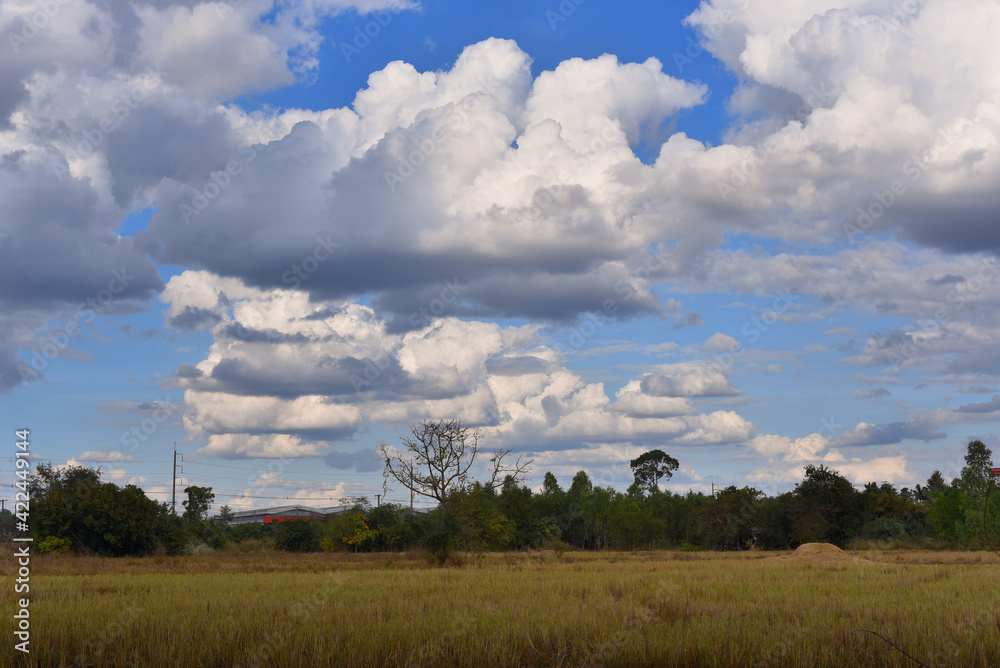 Beautiful sky .Cumulonimbus cloud and cirrus cloud Beautiful sky .Cumulonimbus cloud and cirrus cloud