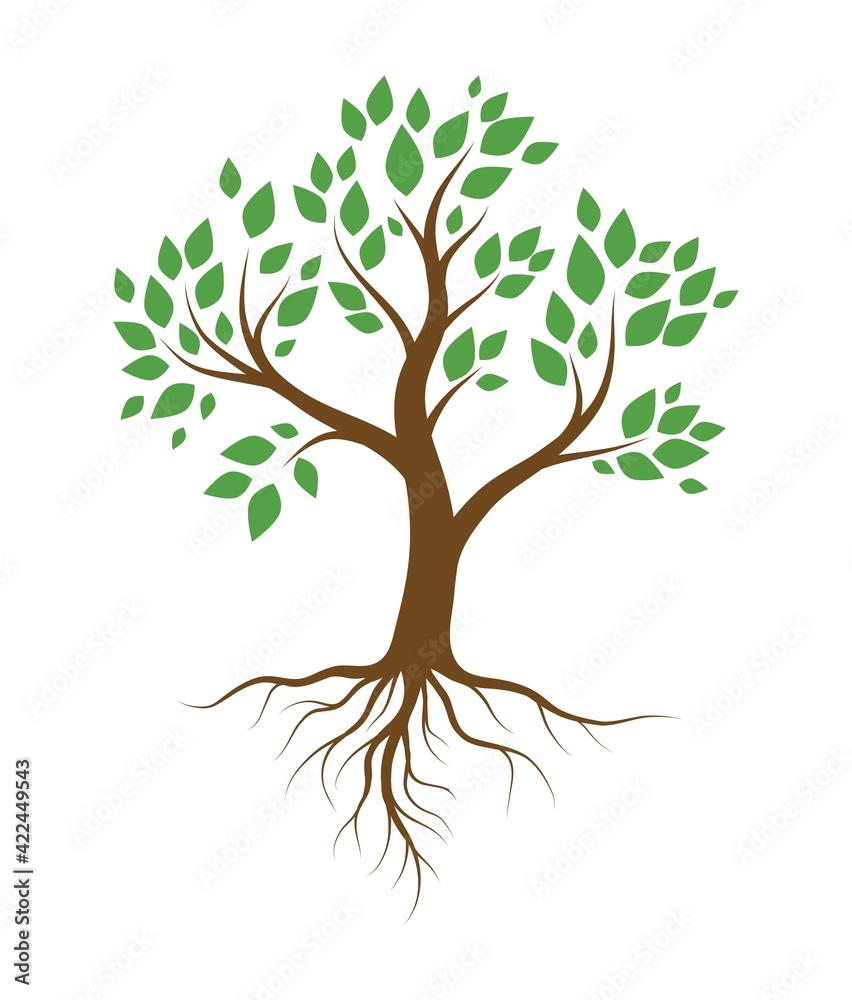 tree with green leaves and root system. color vector illustration isolated on white background