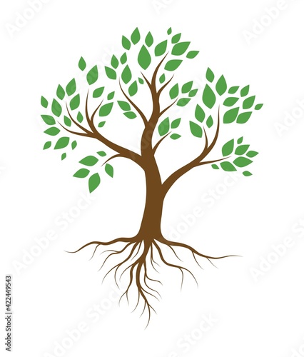 tree with green leaves and root system. color vector illustration isolated on white background