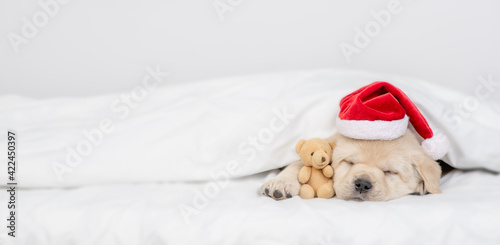 Funny Golden retriever puppy wearing red santa's hat sleeps under warm blanket on a bed at home and hugs favorite toy bear. Empty space for text