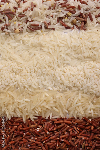 Varity mix long grain basmati medium grain jasmine short grain pilaf risotto brown low glycaemic index GI rice in rows top view photo