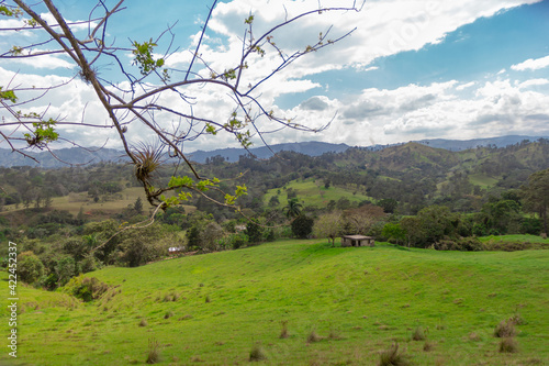 gran amplia vista del campo, verde pasto con arboles y montaña al fondo, vida en el campo, jarabacoa republica dominicana