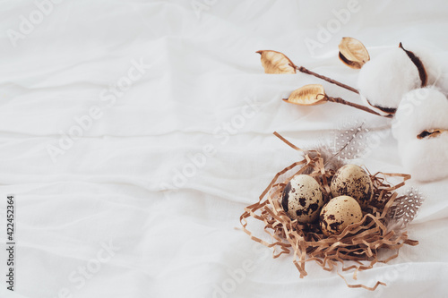 Cotton, Easter quail eggs, feathers on a white background. Easter beautiful composition, postcard. Easter concept, background, copy space