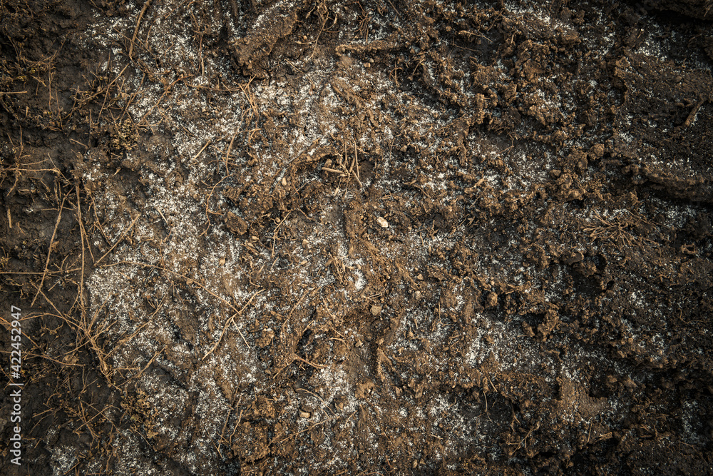 Naklejka premium Soil. Ground texture. Soil background. Abstract nature pattern. Autumn