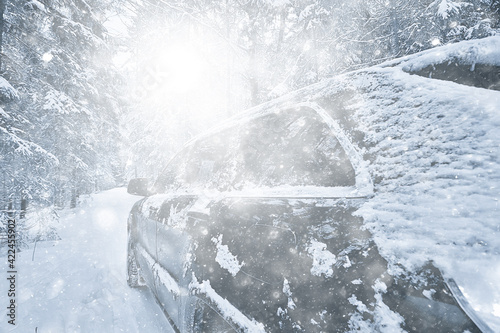 car in winter forest, landscape travel in christmas snowy forest