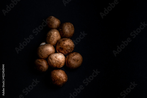 Mushrooms aglow on black