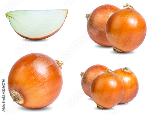 collection mix set onion isolated on white background