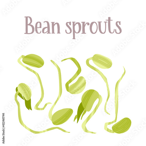 Fresh microgreen bean sprouts. Healthy nutrition product.