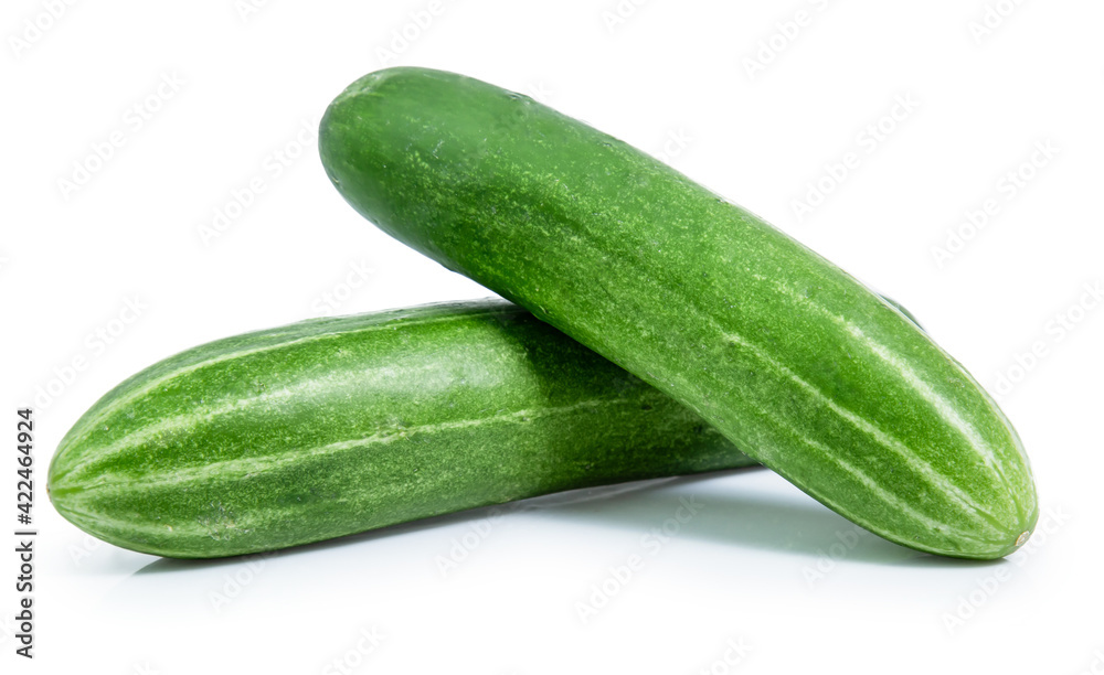 cucumber vegetable isolated on white background cucumber vegetable isolated on white background