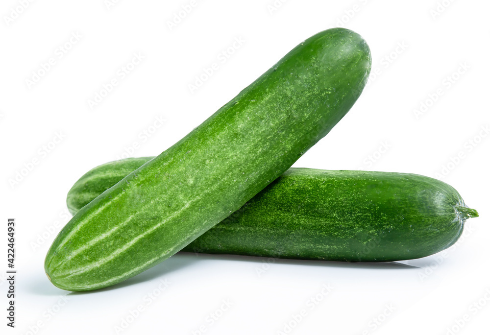 cucumber vegetable isolated on white background cucumber vegetable isolated on white background