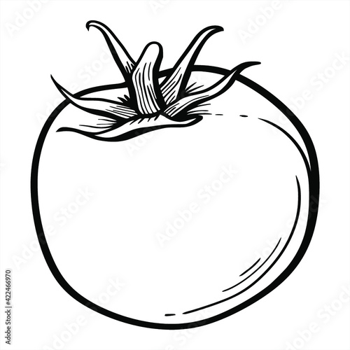 hand drawn vegetables. vektor, icon