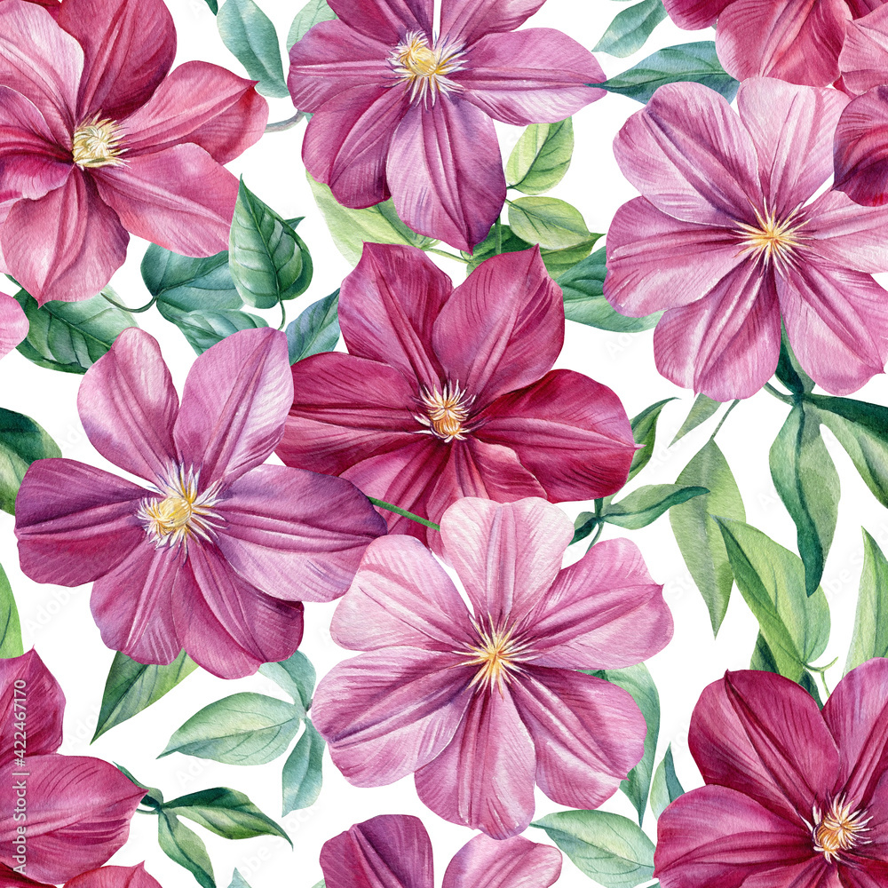 Watercolor violet flowers on isolated background, botanical painting. Seamless pattern Clematis 