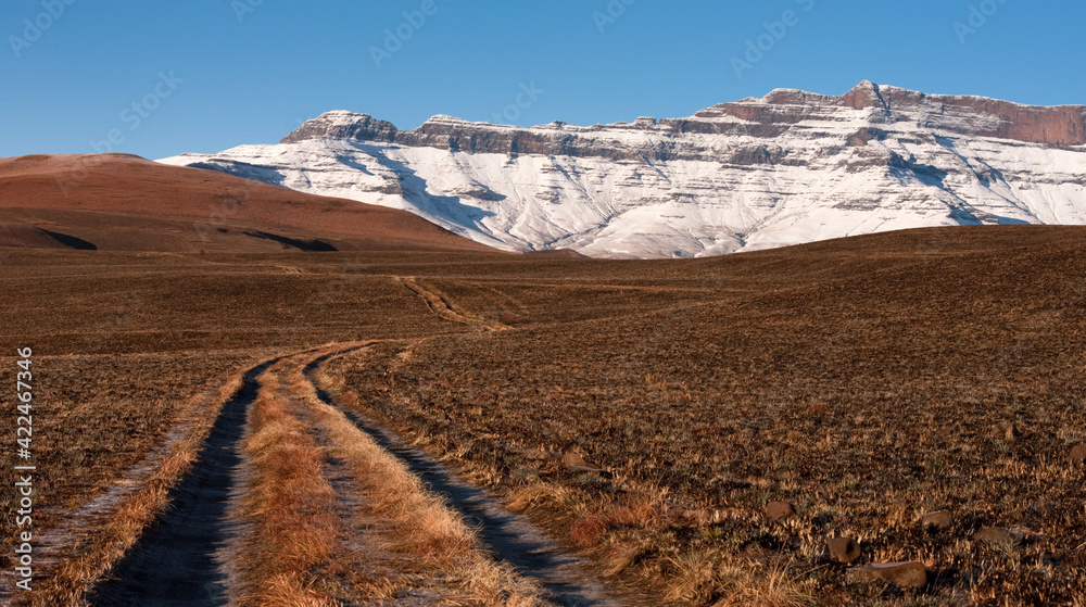 Grass road leading to the high mountains in the Drakensberg