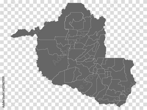 Blank map Rondonia of Brazil. High quality map Rondonia with municipalities on transparent background for your web site design, logo, app, UI.  Brazil.  EPS10. photo