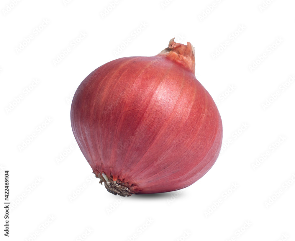 Fototapeta premium Red onion isolated on white background