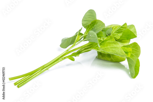 spinach vegetable isolated on white background clipping path