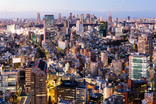 Beautiful night scene of Tokyo skyline. Tokyo, Japan.