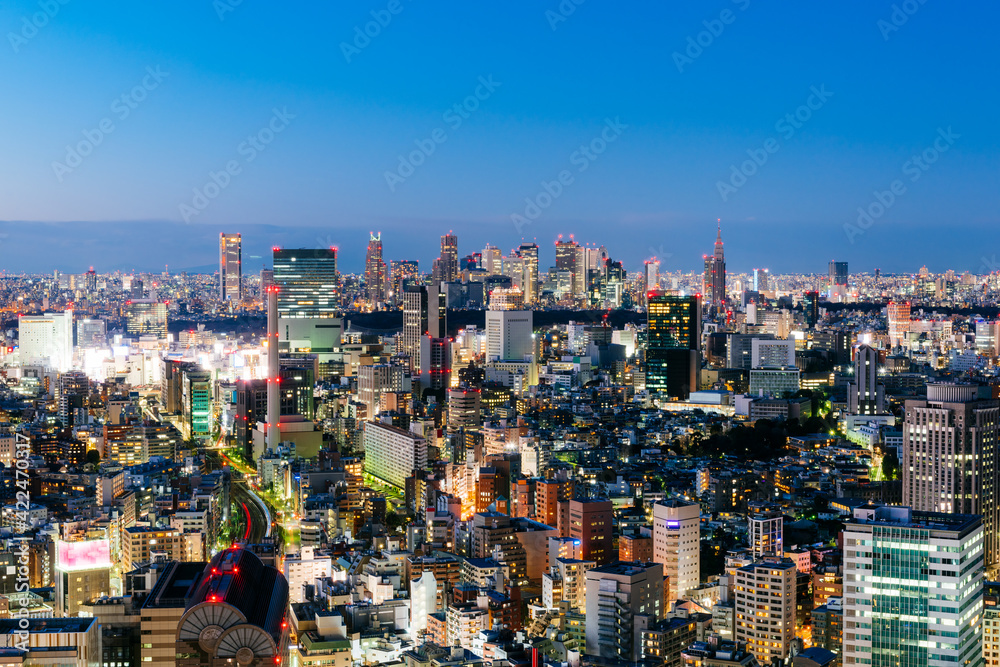 Beautiful night scene of Tokyo skyline. Tokyo, Japan.