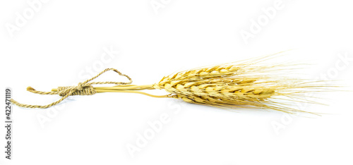 dry barley rice isolated on white background