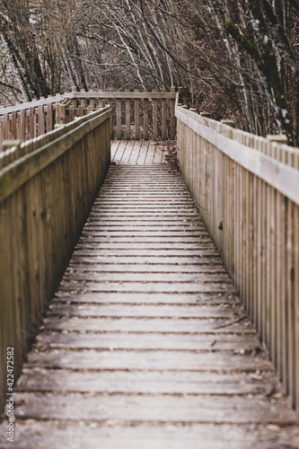 Pont en bois dans la forêt d'automne le long d'un chemin virage à gauche