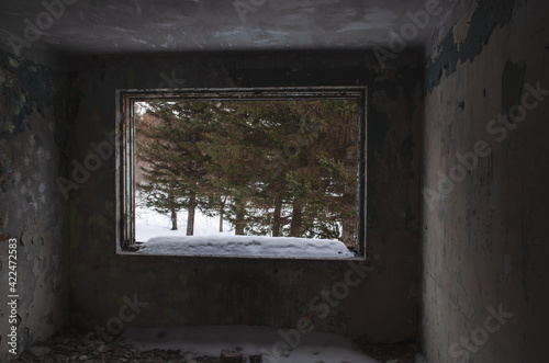 view from the window in an abandoned building