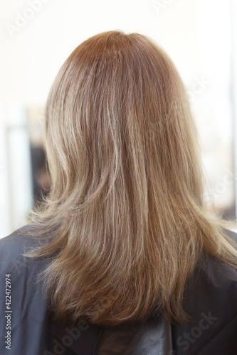 light brown long loose hair closeup photo in hair salon back view