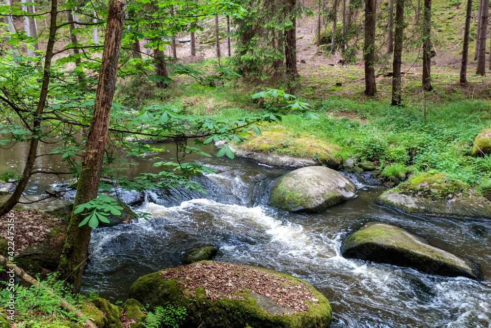 schöner Idyllischer Flusslauf, Waldnaabtal, Blockhütte
