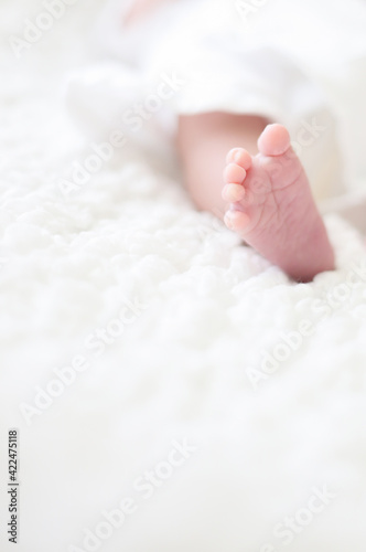 Baby feet. Tiny Newborn Baby's feet and hands closeup. Happy Family concept. Beautiful conceptual image of Maternity. Banner