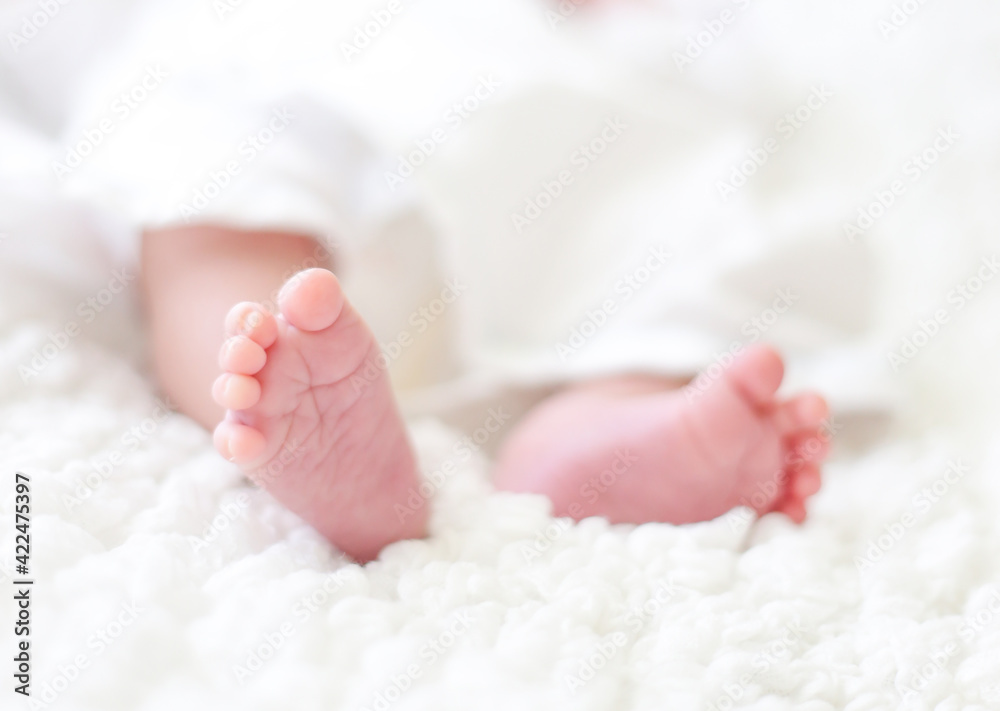 Baby feet. Tiny Newborn Baby's feet and hands closeup. Happy Family concept. Beautiful conceptual image of Maternity. Banner Baby feet. Tiny Newborn Baby's feet and hands closeup. Happy Family concept. Beautiful conceptual image of Maternity. Banner