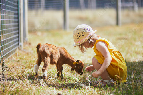 Adorable toddler girl in yellow dress and straw hat playing with goats at farm