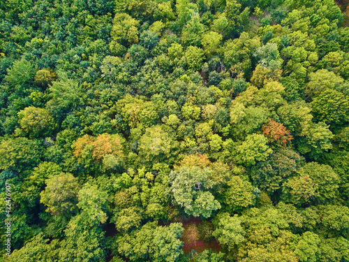 Scenic aerial view of autumn forest in northern France, France