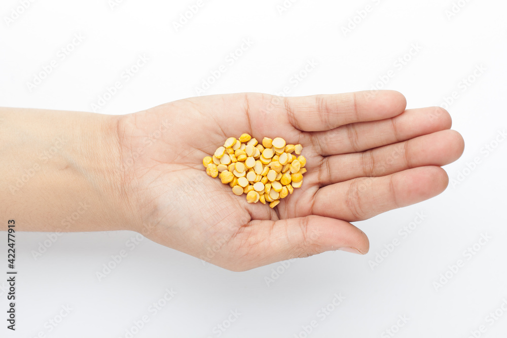 Fototapeta premium Macro Close-up of Organic Bengal Gram (Cicer arietinum) or split yellow chana dal on the palm of a Female hand. Top view
