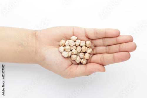 Macro Close-up of Organic chhole chana or Kabuli chana (Cicer arietinum) or whole white Bengal gram dal on the palm of a Female hand. Top view
