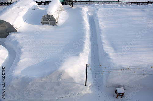 Fototapeta Naklejka Na Ścianę i Meble -  The path leading to the greenhouse through the snowdrifts. Summer cottage in the snow in the countryside. View from above. Cat footprints in the snow. Early morning.