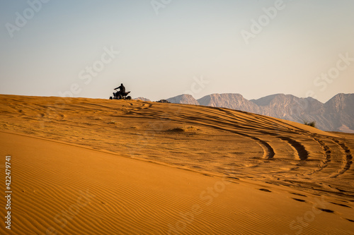 Silhouette of a quad driving up the sand dune in the desert, with tire tracks behind and mountains in the background, sunset, Fossil Rock, Sharjah, United Arab Emirates.