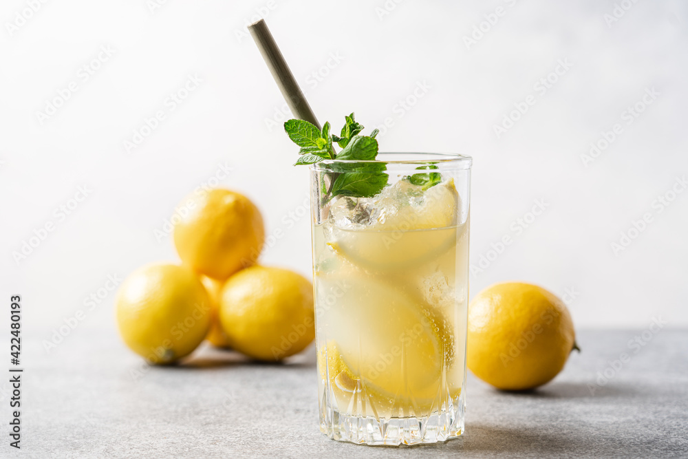 Citrus lemonade with mint and ice in glass with bamboo tube. Refreshing summer drink. White background, side view, close-up view Citrus lemonade with mint and ice in glass with bamboo tube. Refreshing summer drink. White background, side view, close-up view