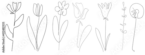 vector single one line drawn set of flowers. flower handdrawing outline illustration isolated on white background. Botanical