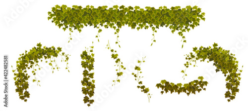 Ivy climbing vines with green plant leaves set