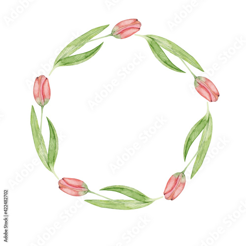 Fototapeta Naklejka Na Ścianę i Meble -  Watercolor wreath of pink tulips isolated on white background. Floral spring frame, framing. For invitations, cards, albums, scrapbooking.